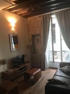 a living room with a couch and a television at Appartement Notre Dame in Paris