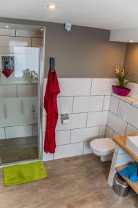 e bagno con doccia, servizi igienici e lavandino. di Ferienhaus Fux a Bad Mitterndorf