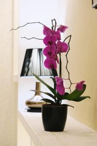 a black vase with purple flowers on a table at Hotel Diamantidis in Myrina