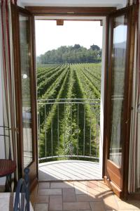 Zahrada ubytování Borgo di Corte - alloggio agrituristico