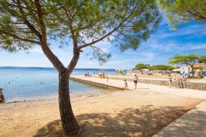 a tree on a beach with people in the water at Apartments Kolenc in Portorož