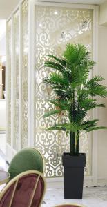 a green plant in a black pot in a room at Hotel Diamantidis in Myrina
