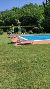 Bazén v ubytování Agriturismo Francini nebo v jeho okolí