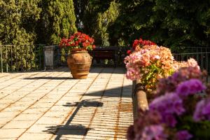 Vonkajšia záhrada v ubytovaní Villa Montarioso