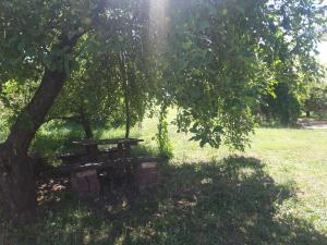 a picnic table under a tree in a field at Studio north star in Soko Banja +2 photos