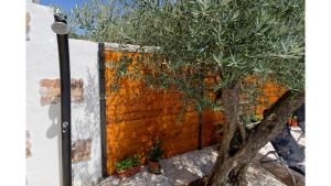 Fotografie z fotogalerie ubytování Holiday Home Vlady by Rent Istria v destinaci Buje