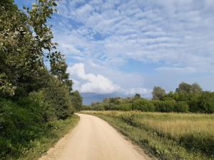 Gallery image of Domek na Podlasiu in Mielnik