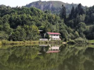 Cabana Taul Brazilor في Roşia Montană: جلسة منزل على جانب البحيرة