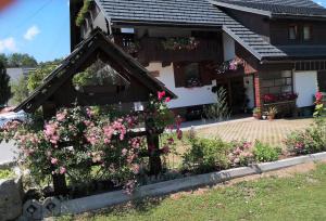 Zahrada ubytování Apartmaji Preželj