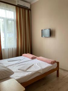 a bedroom with a bed with a television on the wall at Karina in Gagra