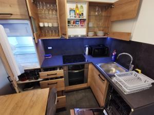 Kuchyň nebo kuchyňský kout v ubytování Apartma Auriga