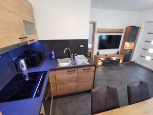 Kuchyň nebo kuchyňský kout v ubytování Apartma Auriga