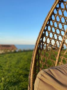 a wickerickericker chair sitting in a field of grass at Casale Adriatico B&B in Pineto