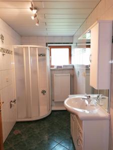 a bathroom with a shower and a sink at HAUS RUSSOLD -FEWO22 in entspannter Atmosphäre - GRÜNER SEE in Oberort