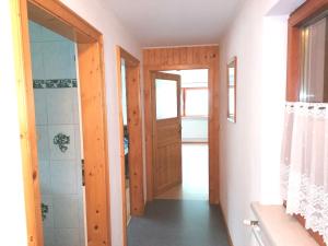 a bathroom with a shower and a wooden door at HAUS RUSSOLD -FEWO22 in entspannter Atmosphäre - GRÜNER SEE in Oberort