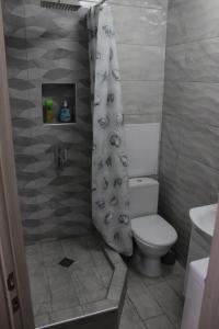 a bathroom with a toilet and a shower curtain at Apartments in Kharkiv in Kharkiv