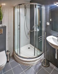 a bathroom with a shower and a toilet and a sink at Rynek No 3 APARTMENT in Wałbrzych