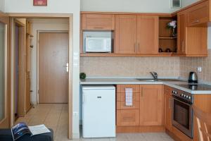 Kuchyň nebo kuchyňský kout v ubytování Lakeside Family Apartment