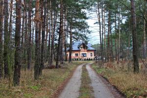 BrzózkiNoclegi Pod Dębem, Pulandia Brzózki的通往树林中房屋的土路