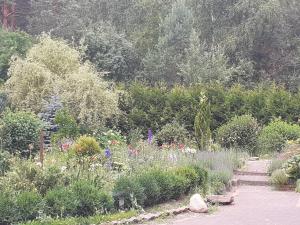 Noclegi Pod Dębem, Pulandia Brzózki外面的花园