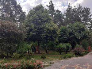 Noclegi Pod Dębem, Pulandia Brzózki外面的花园