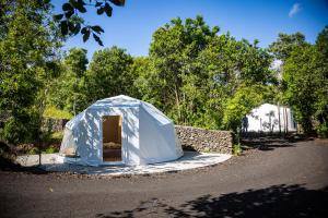 Gallery image of Quinta do Abacate - Glamping Park in Angra do Heroísmo