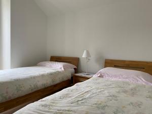 2 letti posti uno accanto all'altro in una camera da letto di Rustico San Giorgio: Losone a Losone