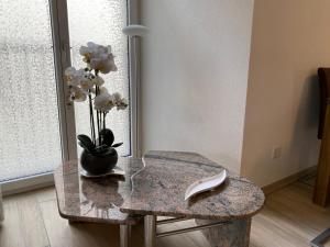 uma mesa com um vaso de flores e um livro sobre ela em Rustico San Giorgio: Losone em Losone