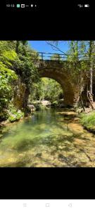 un pont sur une rivière avec un pont dans l'établissement CABAÑAS DE MADERA LA FLORIDA, à Arroyo Frío