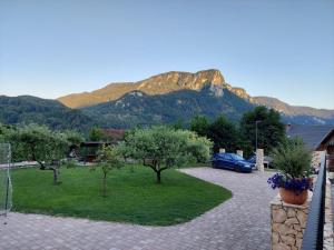 a driveway with trees and a mountain in the background at Apartmaji Pr'Pišk in Bohinjska Bela