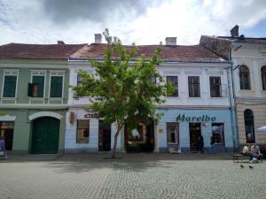 een gebouw met een boom in het midden van een straat bij Lionas Central Apartment in Bistriţa