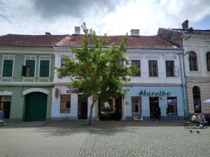 a building with a tree in the middle of a street at Lionas Central Apartment in Bistriţa