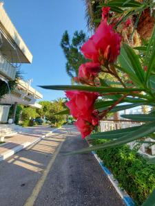 Foto dalla galleria di Batis Hotel a Livanates