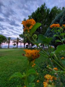 Paesaggio naturale nelle vicinanze dell'hotel