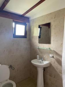 La salle de bains est pourvue d'un lavabo, de toilettes et d'une fenêtre. dans l'établissement La Butuci, à Tîrgu Ocna