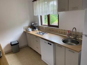 eine kleine Küche mit Spüle und Fenster in der Unterkunft La Butuci in Târgu Ocna