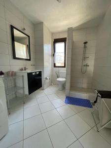 a bathroom with a shower and a toilet and a sink at OSA Holiday in Ulcinj