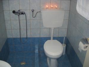 a bathroom with a toilet and a shower with candles at Magdalini in Votsi