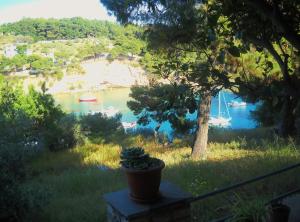 a plant in a pot sitting on a ledge overlooking a lake at Magdalini in Votsi