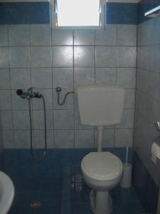 a bathroom with a toilet and a shower at Magdalini in Votsi
