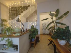 Fotografie z fotogalerie ubytování Silence House Dalat ATP v destinaci Da Lat
