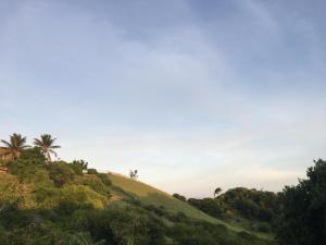Una colina de hierba con palmeras encima. en Le Paradis des Rebelles, en Terre-de-Haut