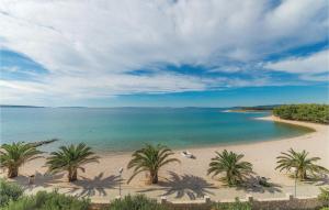 una spiaggia con palme e l'oceano di Dandy a Povljana (Pogliana)