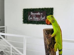a green lizard sitting on top of a wooden post at Casa Paraiso Azul Ocean View in Camaronal