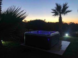 una bañera de hidromasaje con luces púrpuras en un patio con una palmera en Villa Marina en Balestrate