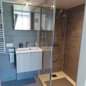 uma casa de banho com um lavatório e um chuveiro em Apartament Beti em Oostkamp