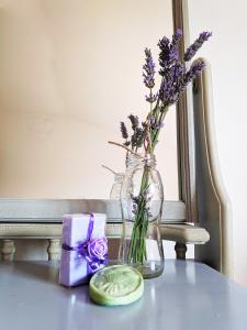 Fotografie z fotogalerie ubytování Apartment Soline v destinaci Pješčana Uvala