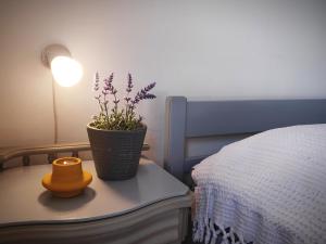 Postel nebo postele na pokoji v ubytování Apartment Soline