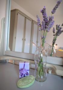 Fotografie z fotogalerie ubytování Apartment Soline v destinaci Pješčana Uvala