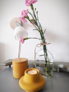 Fotografie z fotogalerie ubytování Apartment Soline v destinaci Pješčana Uvala